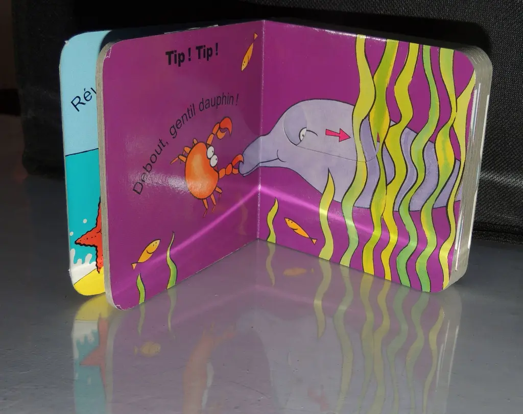 DSCN6717.webp